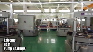 চরম টেম্প পাম্প বিয়ারিং সিলিকন কার্বাইড