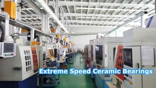 সিরামিক বিয়ারিং উচ্চ গতির শক্তিশালী লোড