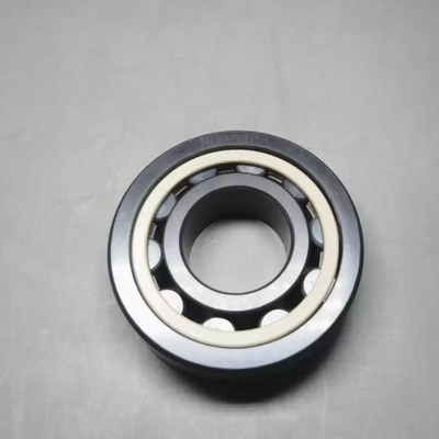 High Speed Capability Silicon Nitride Roller Bearing with Electrical Insulation and Corrosion Resistance